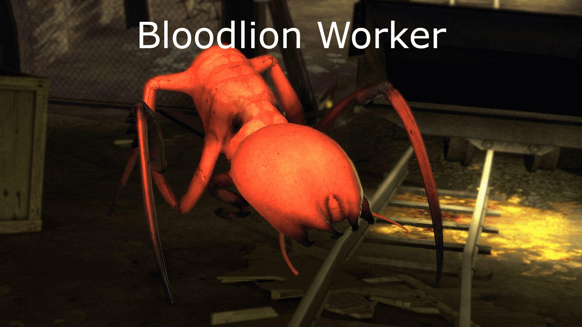 Bloodlion Worker