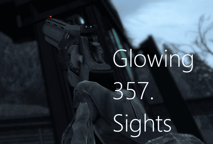 Glowing 357. Sights