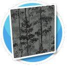 More Night Trees