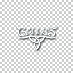 Gallus