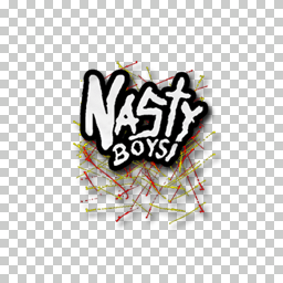 Nasty Boys