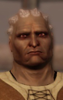 Dragon Age: Origins Sten