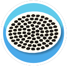 Seeing Spots