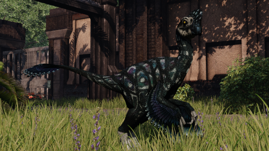 Primal Oviraptor