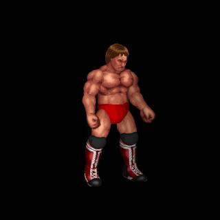 Paul Orndorff