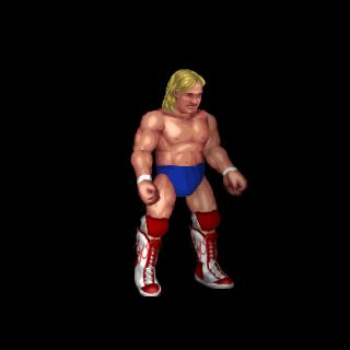 Barry Windham
