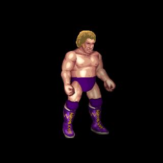 Harley Race