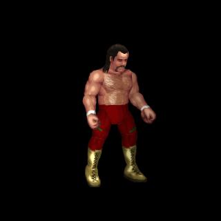Jake Roberts