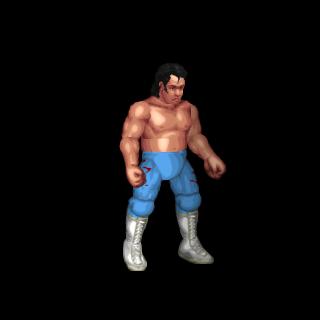 Honky Tonk Man