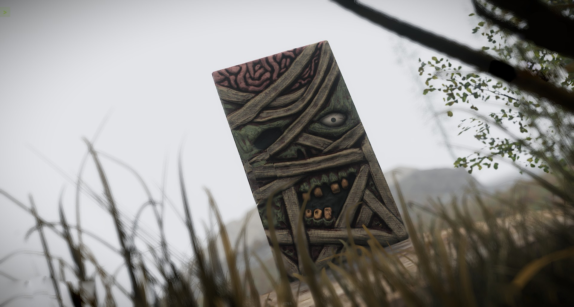 Mummy Door