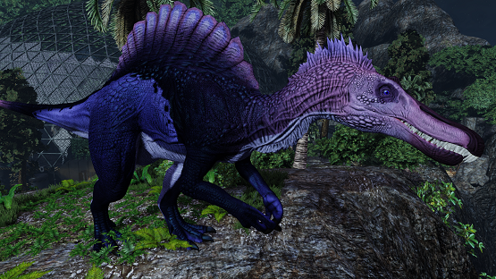 Tidewater Spino