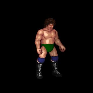 Bob Orton Jr.