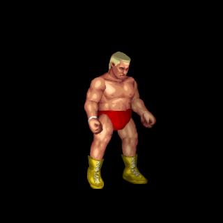 Ronnie Garvin