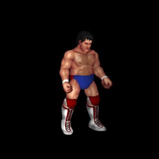 Mike Rotunda