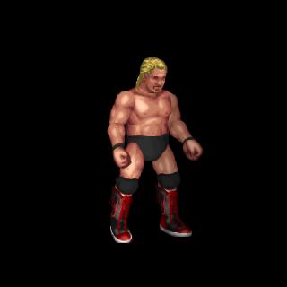 Barry Windham