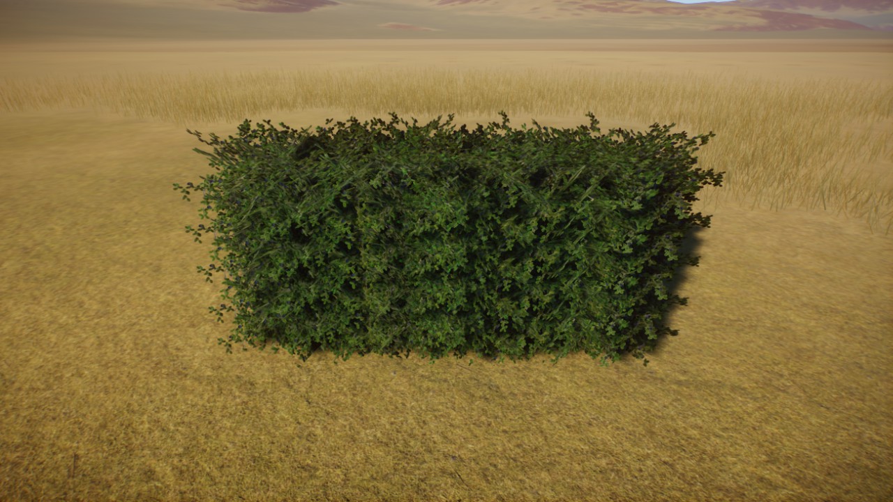 Hecke / Hedge