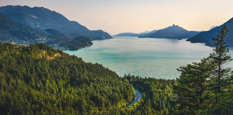 Forest with a lake sourrounded by mountains