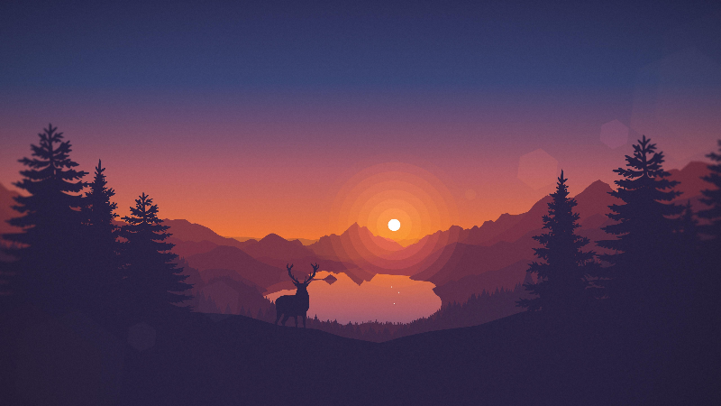 Stunning View