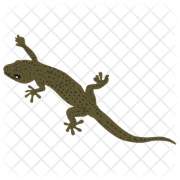 Hunting pack/Ancient salamander additions for Nakai