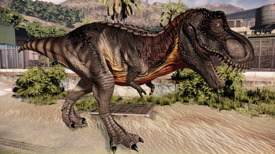 ~Free Drop~ Ashland Rex  (By King Of The Dodos)