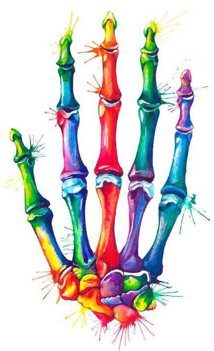 Multicolored bones (poster)