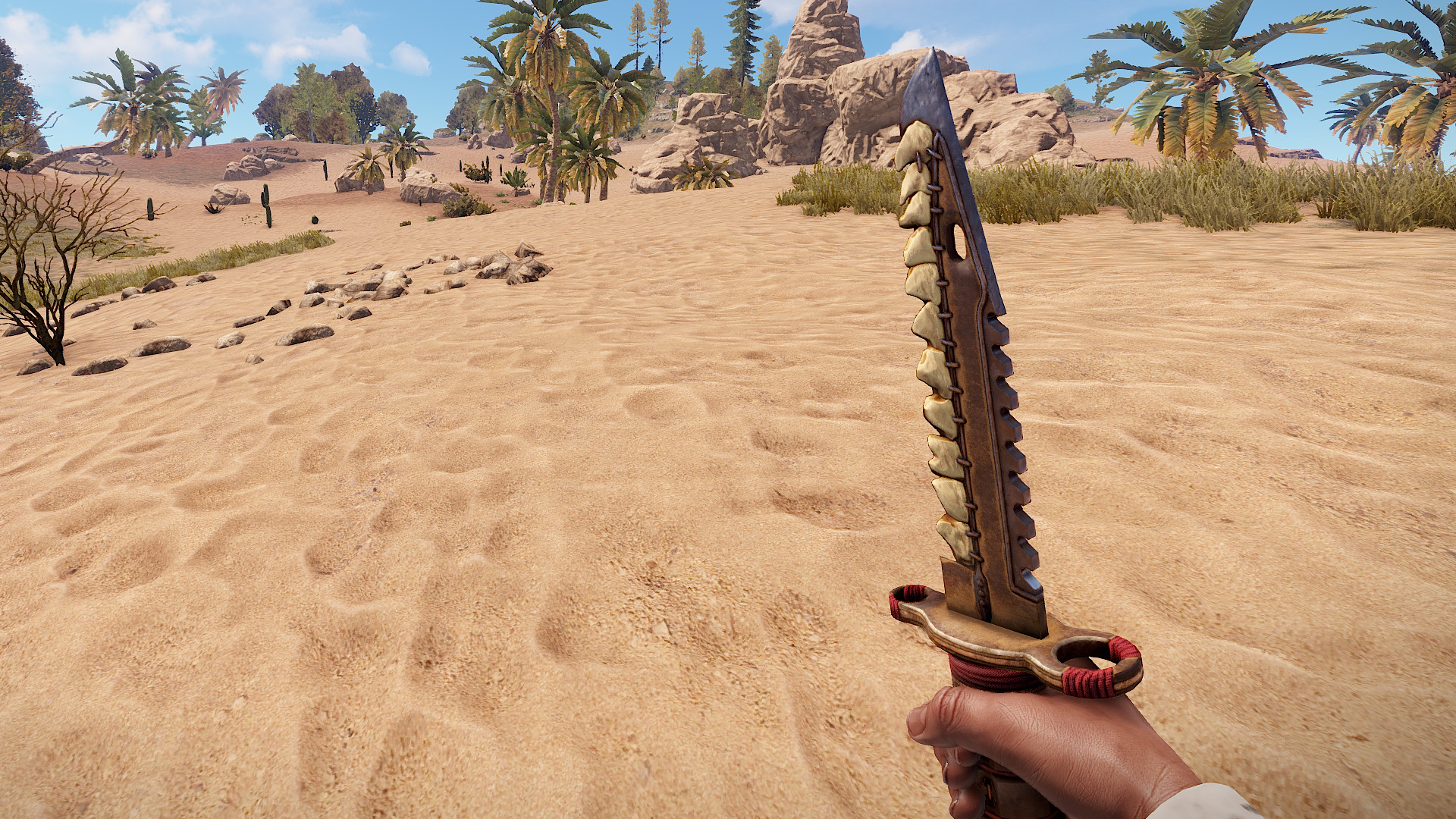 Toothed Knife