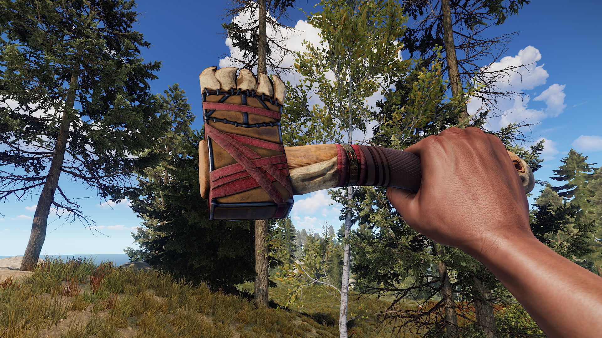 Toothed Hatchet