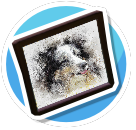 Dog 10