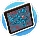 Myoglobin
