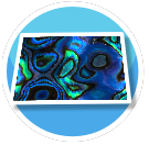 Abalone Attitude flooring