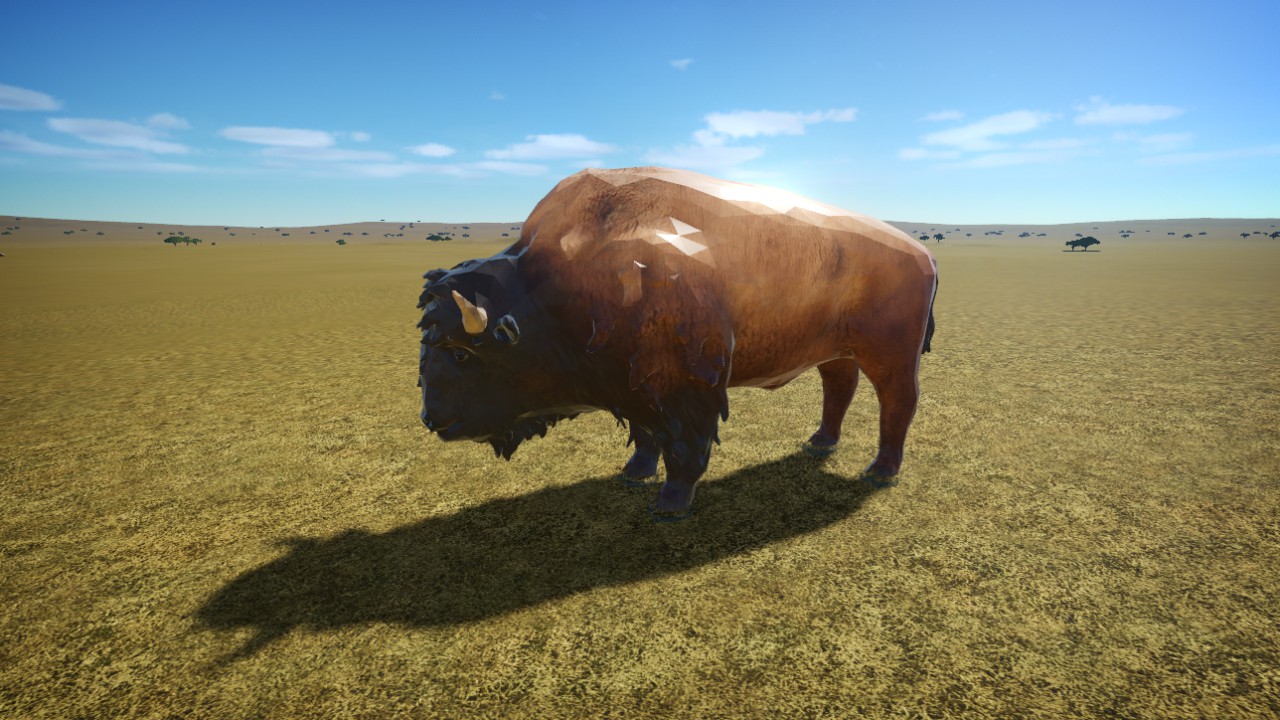 bison