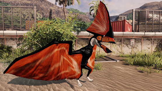 Toucan Tupa