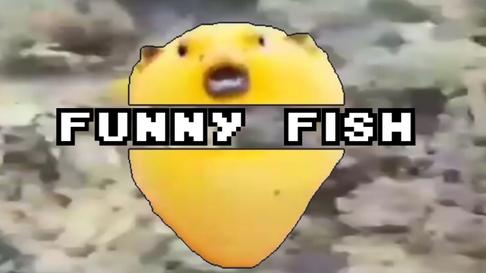 Funny Fish