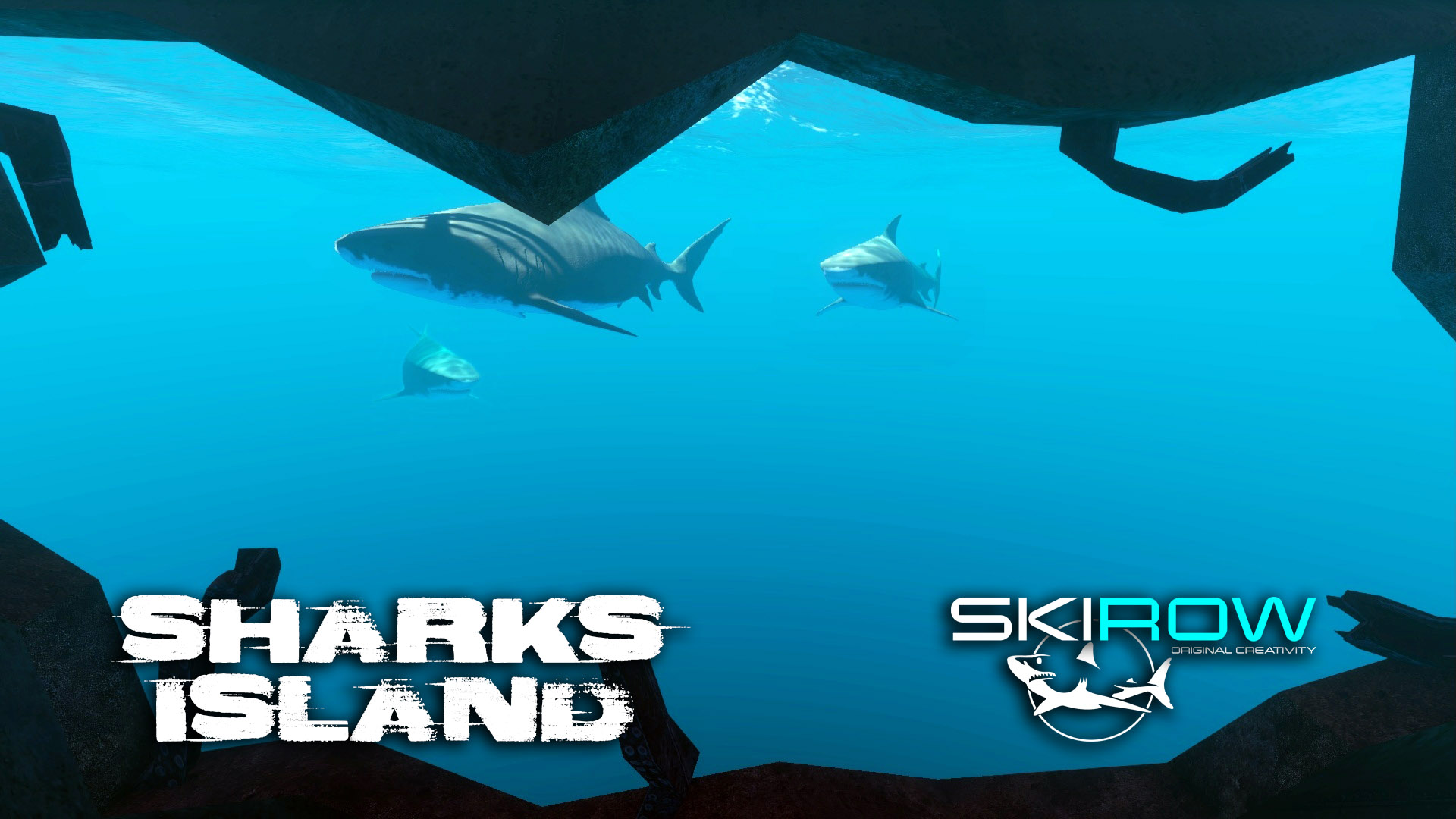 Sharks Island