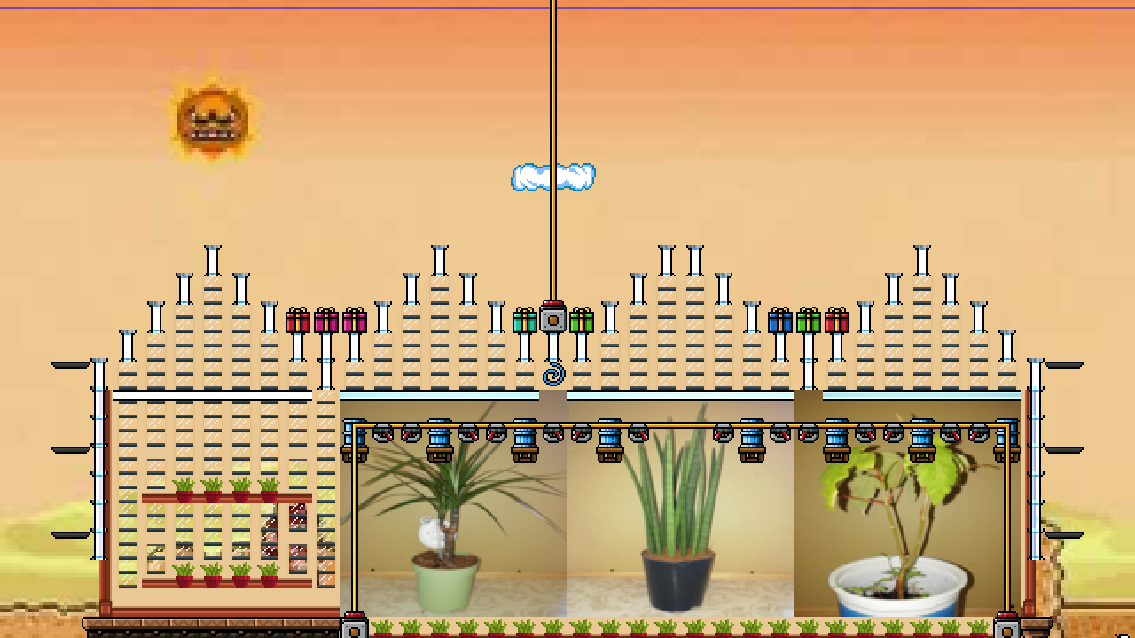 Plant greenhouse