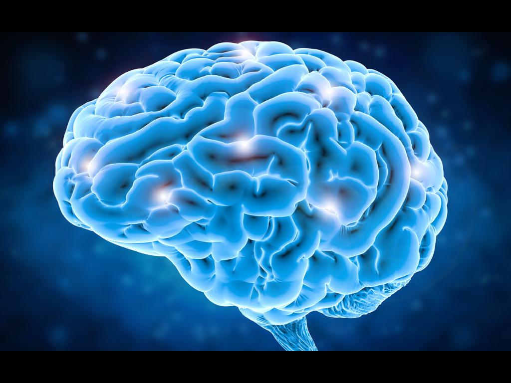 Dota 2 But Brain Battle