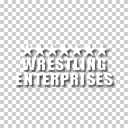 Wrestling Enterprises