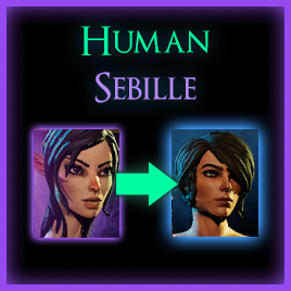 Human Sebille