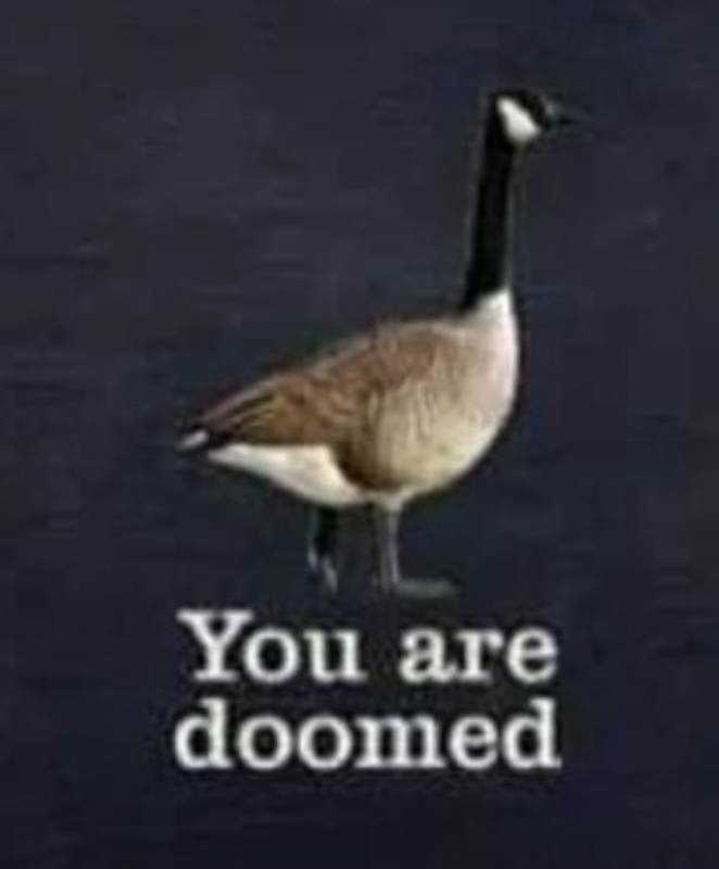 you are doomed
