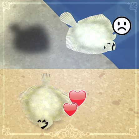 Turbots are bottom dwellers