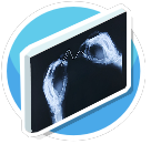 xray 2