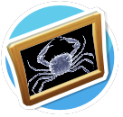 xray4
