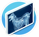 xray dog