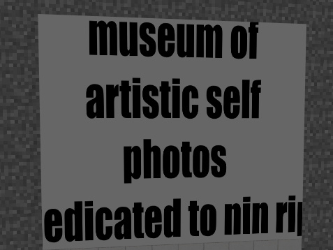 Museum of Self Photos