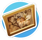 Dried Flower