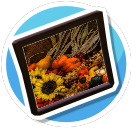 Autumn 3