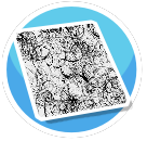 Swirl Rug