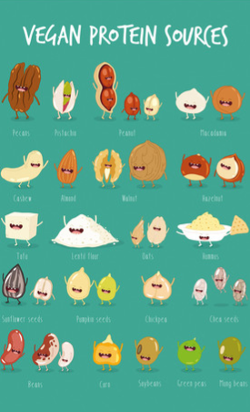 Vegan Protien Chart