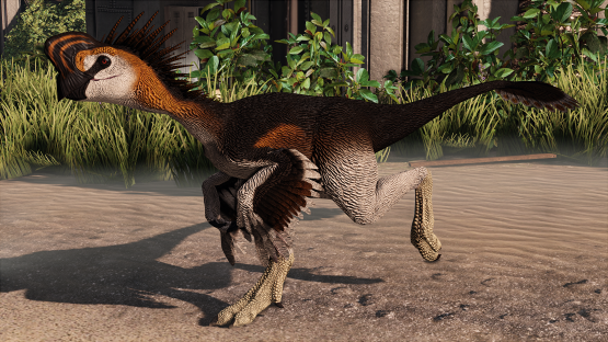 Silky Oviraptor [Available in-game]