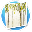 Tall Trees